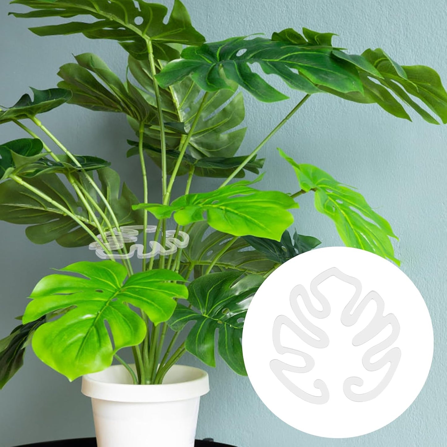 Transparent acrylic plant stake in the shape of a Monstera leaf | Invisible stem support for indoor potted plants 🌿