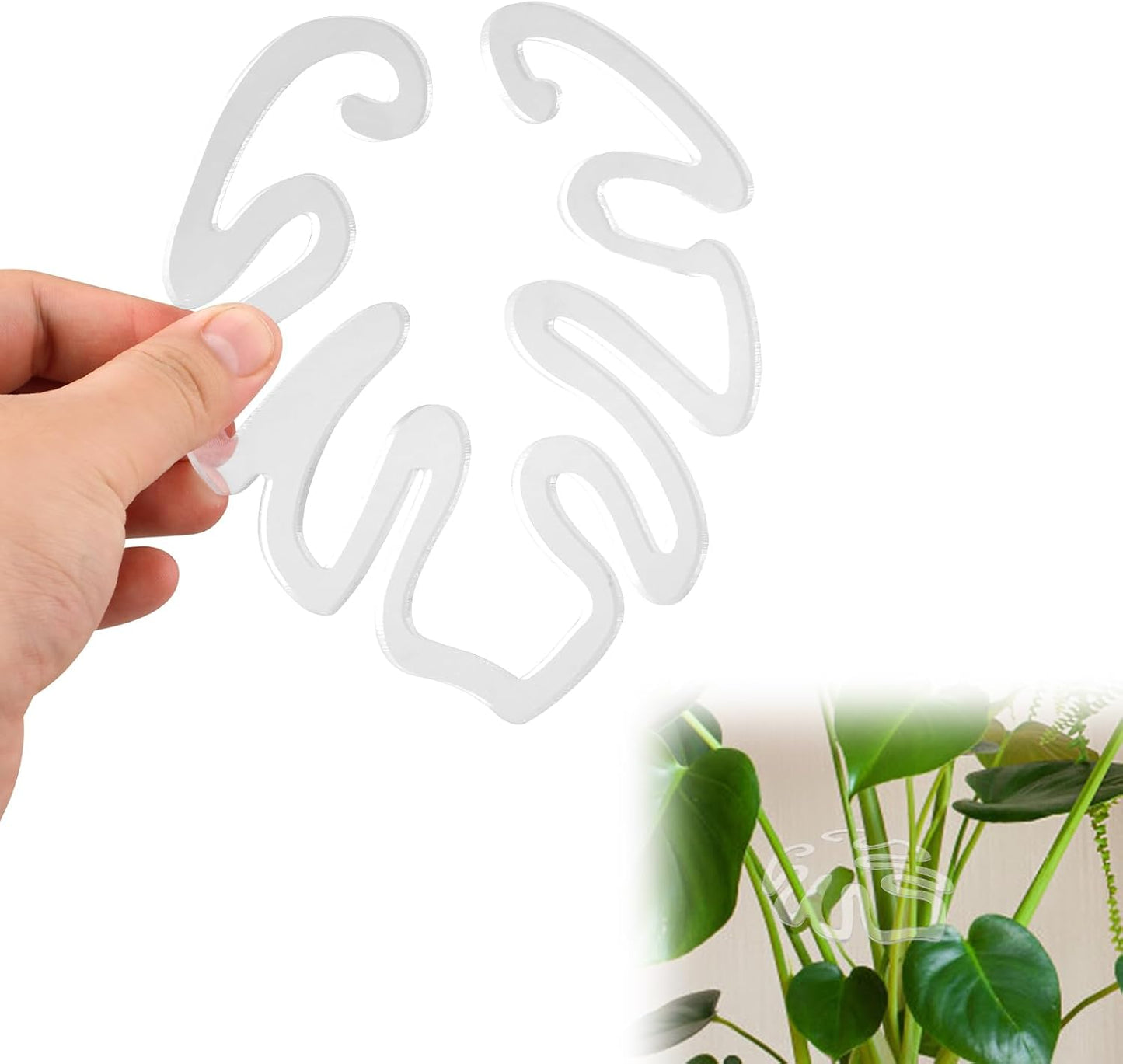Transparent acrylic plant stake in the shape of a Monstera leaf | Invisible stem support for indoor potted plants 🌿