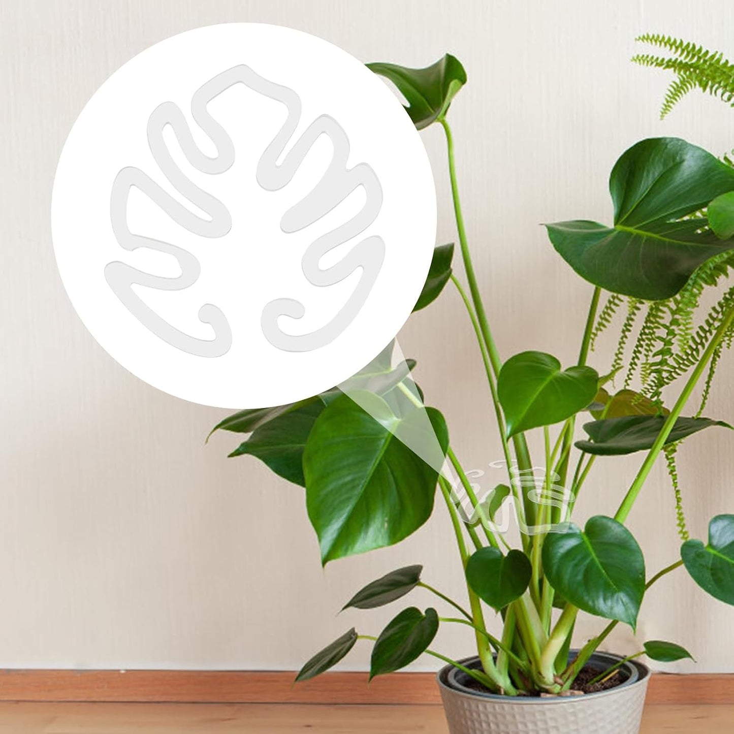 Transparent acrylic plant stake in the shape of a Monstera leaf | Invisible stem support for indoor potted plants 🌿