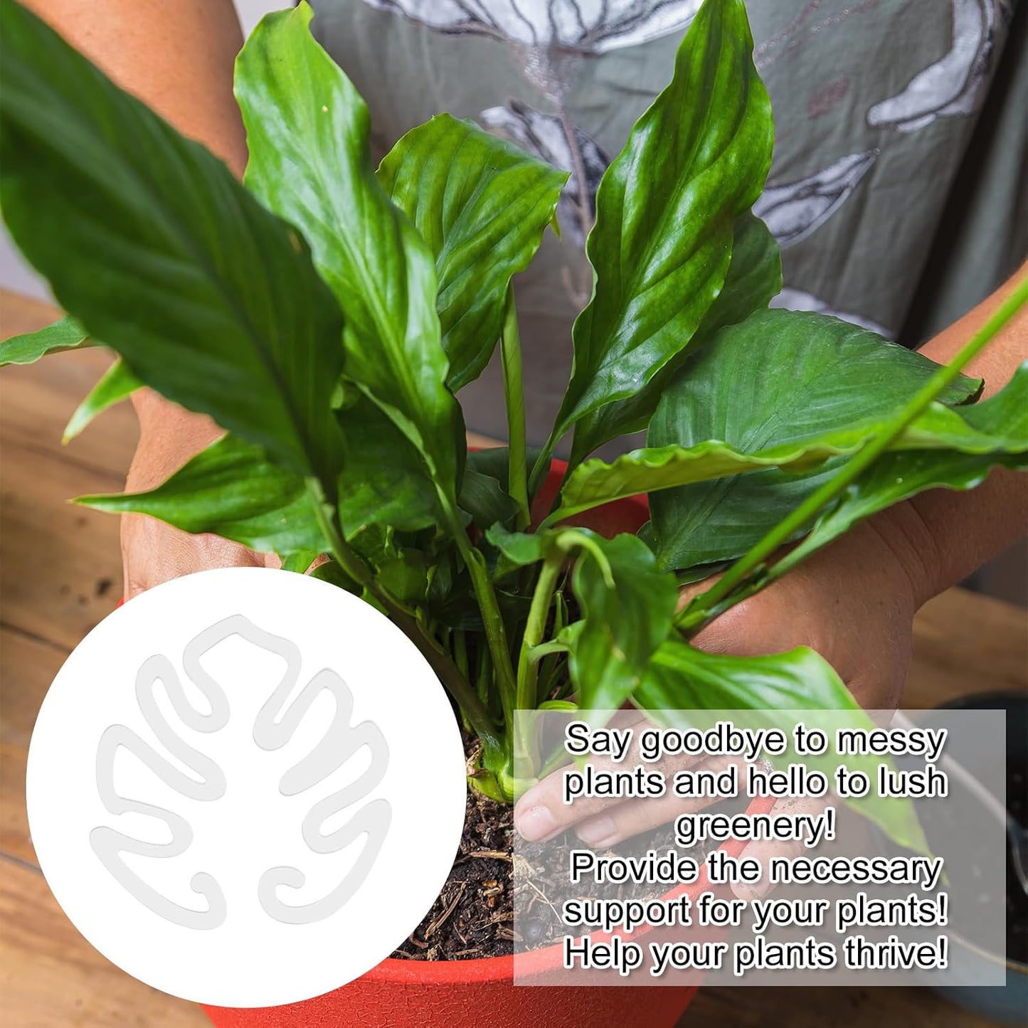 Transparent acrylic plant stake in the shape of a Monstera leaf | Invisible stem support for indoor potted plants 🌿